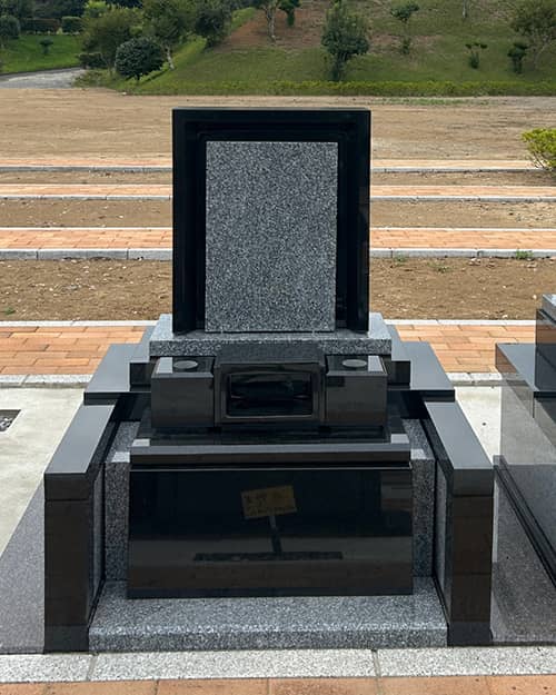 天山石＋インドクンナム